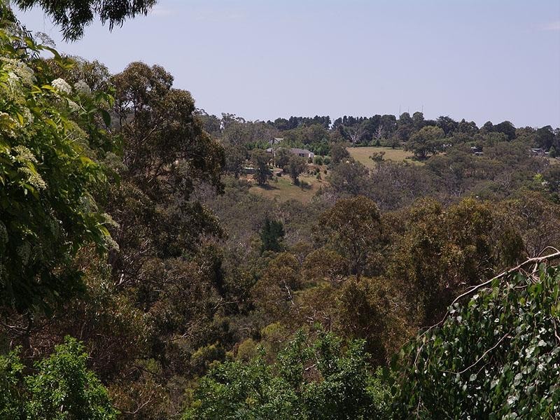 429 Cherry Gardens Road, Cherry Gardens SA 5157