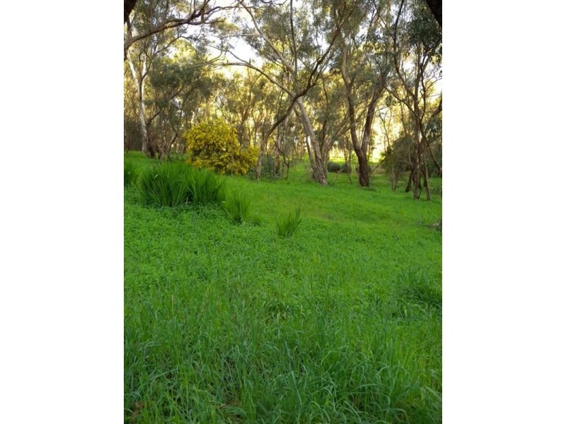 6 Ash Court, Belair SA 5052