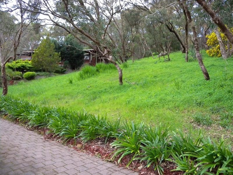 6 Ash Court, Belair SA 5052