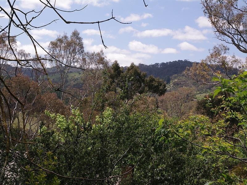 21 Winns Road, Blackwood SA 5051