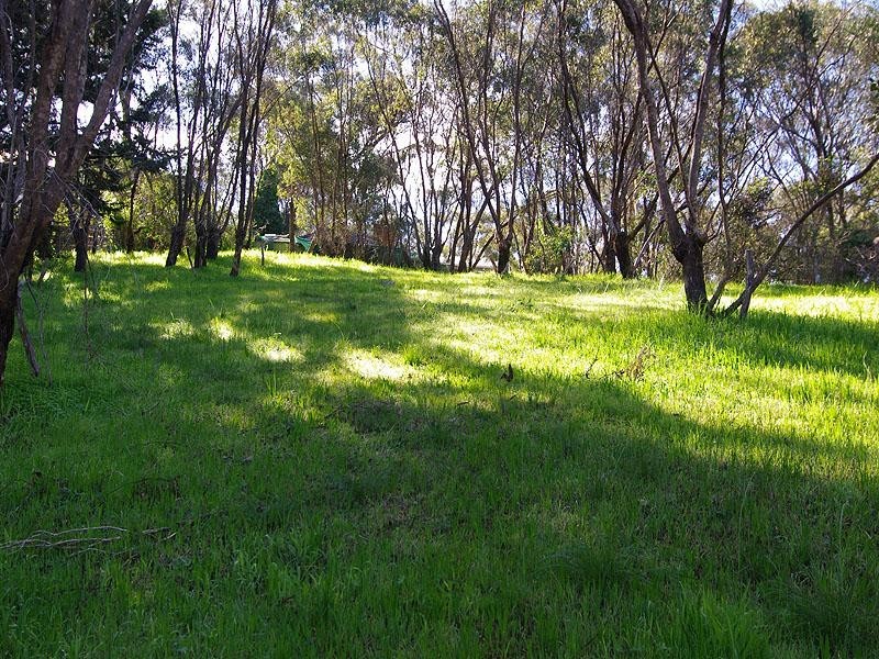 Lot 96 Neate Avenue, Belair SA 5052