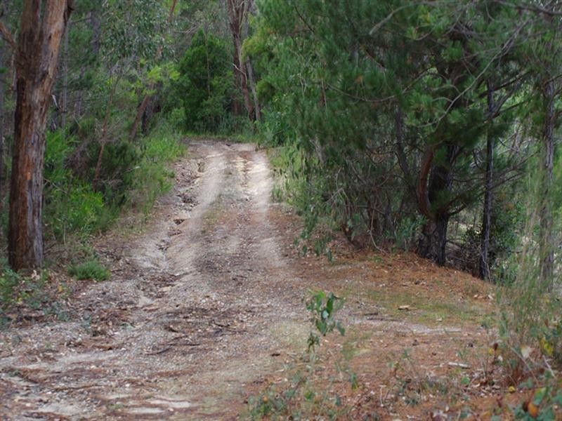 Lot 9 Longwood Road, Bradbury SA 5153