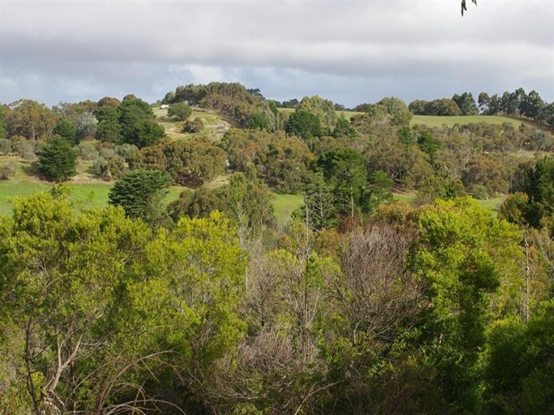 Lot 9 Longwood Road, Bradbury SA 5153