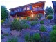3 Depindo Drive, Eden Hills SA 5050