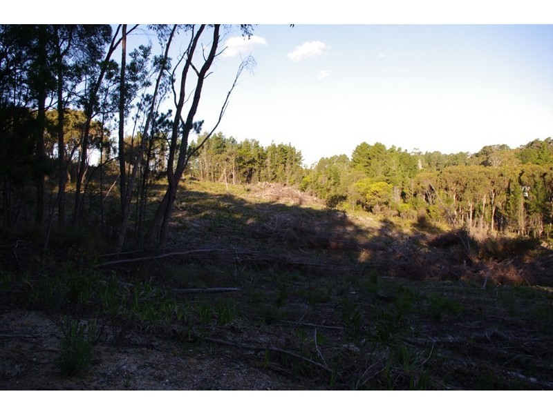 Lot 9 Longwood Road, Bradbury SA 5153