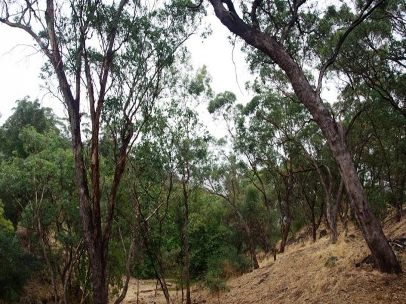 12 Winding Way, Belair SA 5052