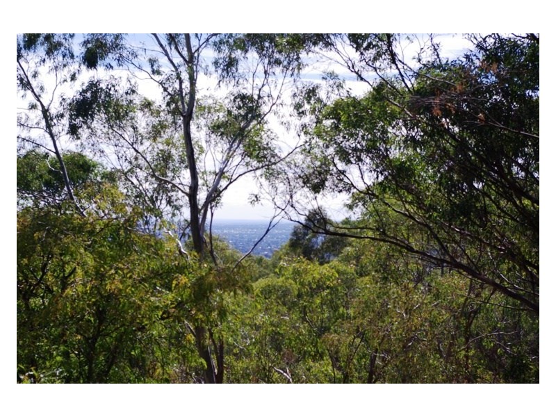 29 Old Belair Road, Belair SA 5052