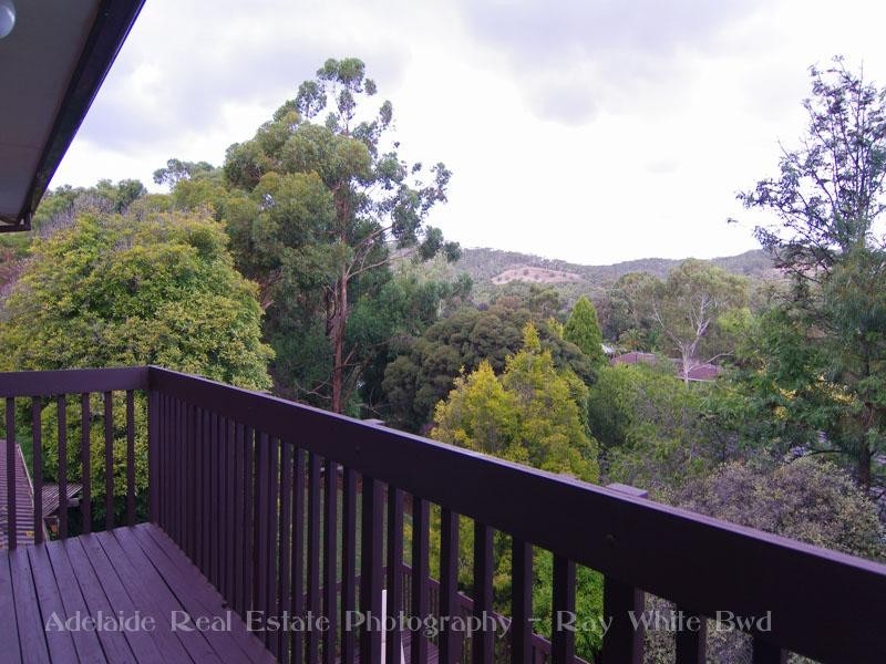 16 Deneland Drive, Hawthorndene SA 5051