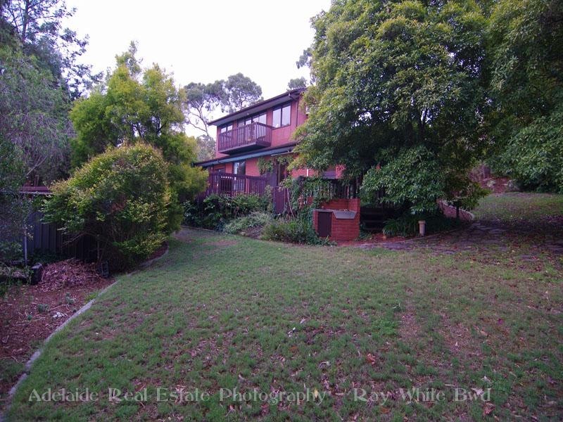 16 Deneland Drive, Hawthorndene SA 5051