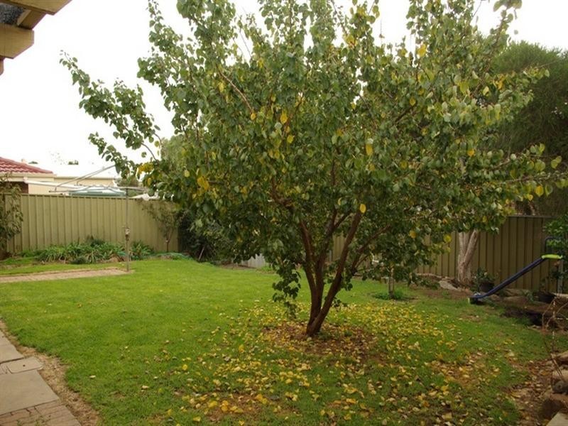 11 Simon Court, Aberfoyle Park SA 5159