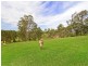 85 East Kurrajong Road, East Kurrajong NSW 2758