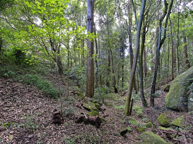 1 Don Street, Kurrajong Heights NSW 2758