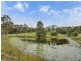 464 Comleroy Road, Kurrajong NSW 2758