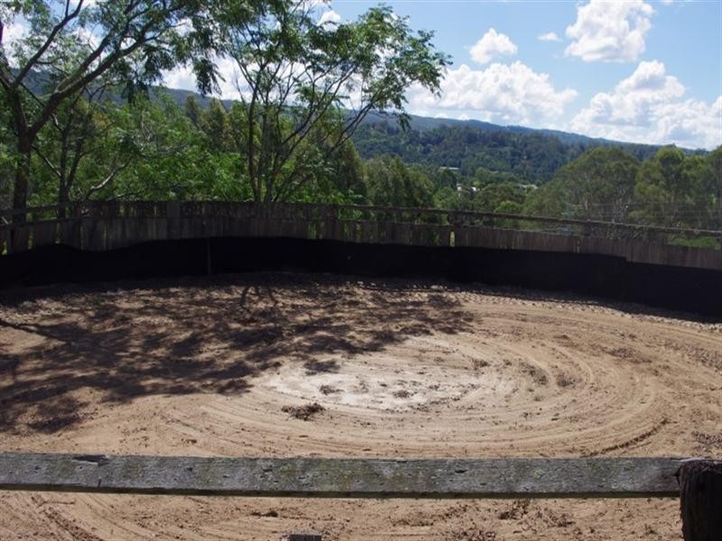 42 Cabbage Tree Road, Grose Vale NSW 2753