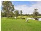 128 Grose River Road, Grose Wold NSW 2753