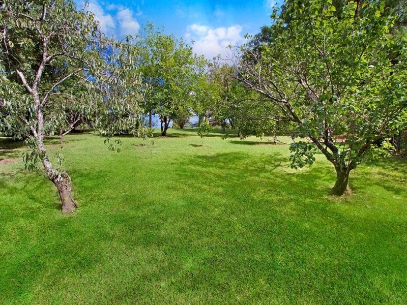 36 Robertson Street, Kurrajong NSW 2758