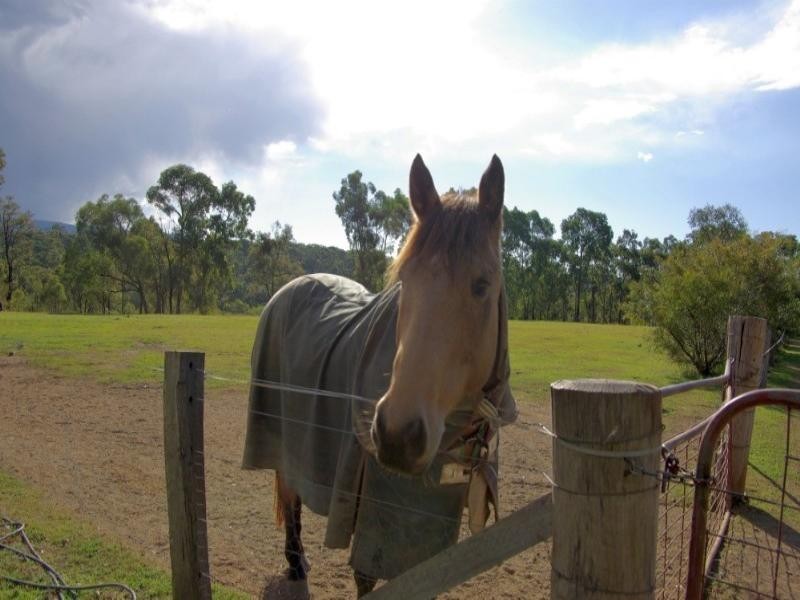 Blaxlands Ridge NSW 2758