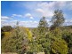 65 Old Bells Line of Road, Kurrajong NSW 2758