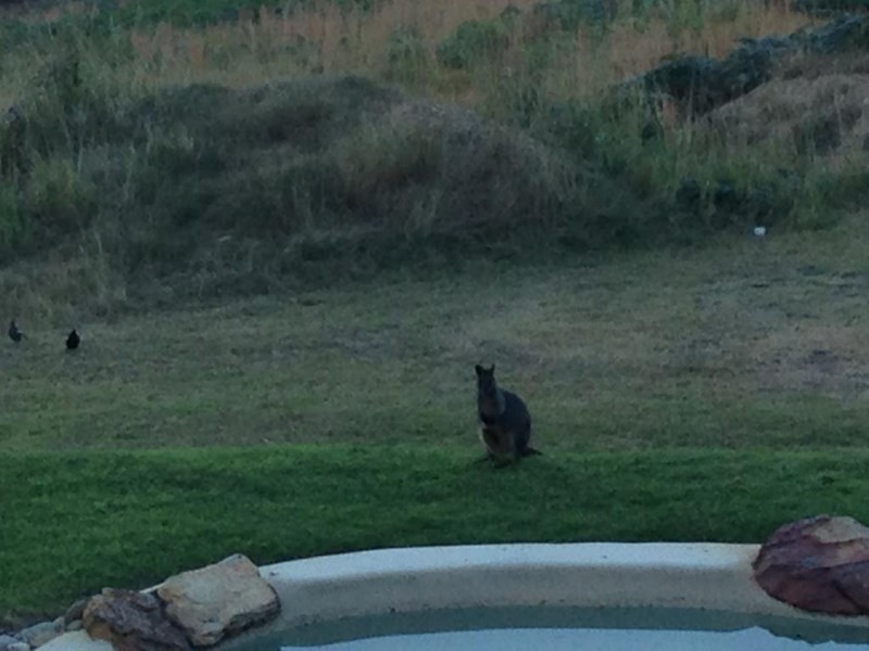 Kurrajong Heights NSW 2758