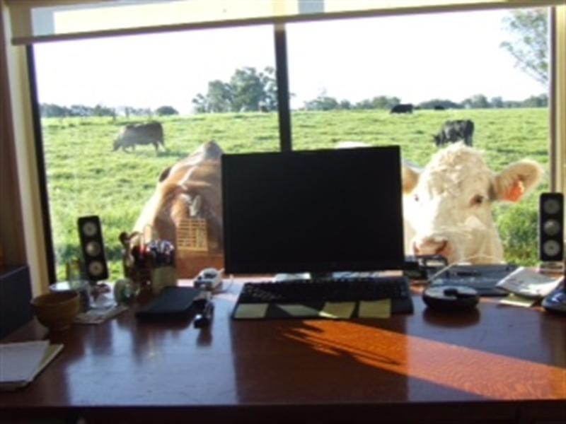 381 Terrace Road, North Richmond NSW 2754