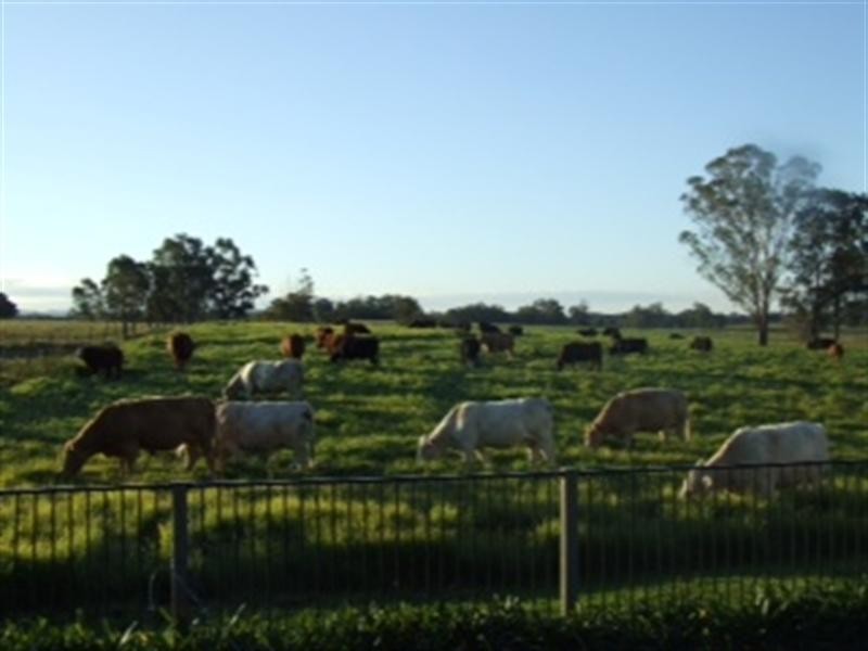 381 Terrace Road, North Richmond NSW 2754