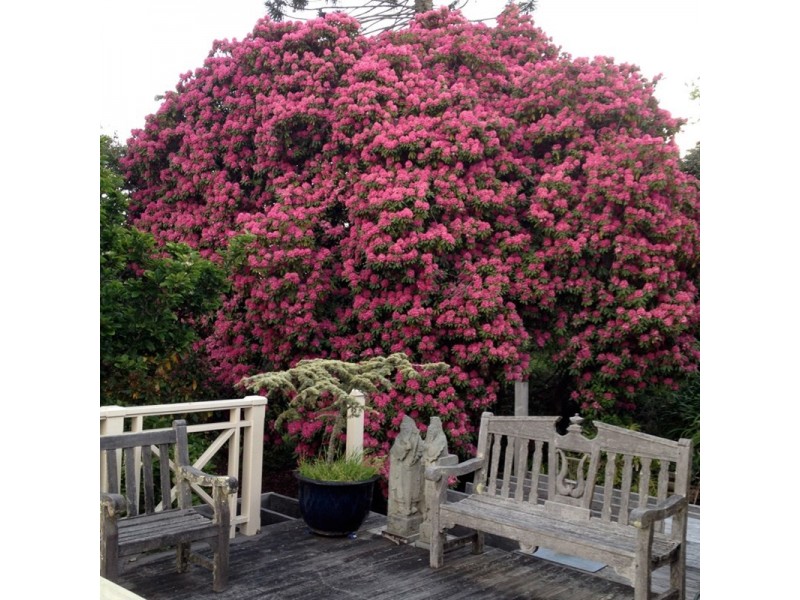 Kurrajong Heights NSW 2758