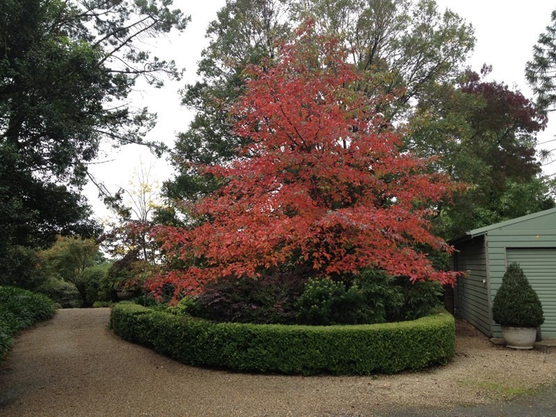 Kurrajong Heights NSW 2758