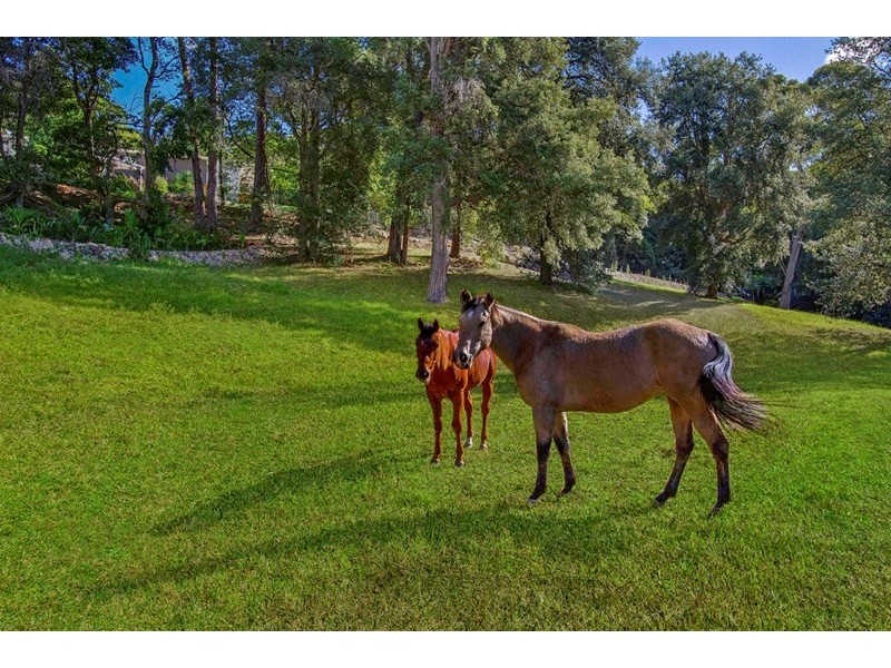 1302 Bells Line of Road, Kurrajong Heights NSW 2758