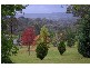 Kurrajong NSW 2758