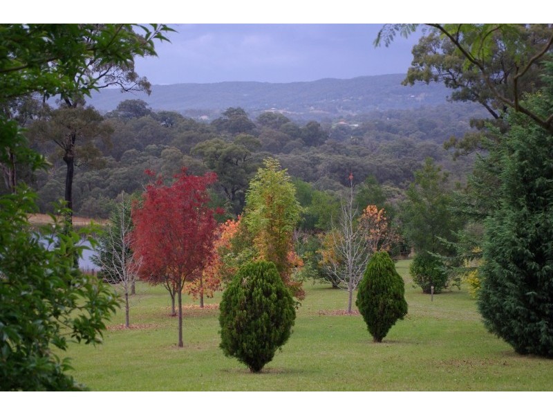 Kurrajong NSW 2758