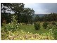 Kurrajong NSW 2758