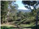 Kurrajong NSW 2758