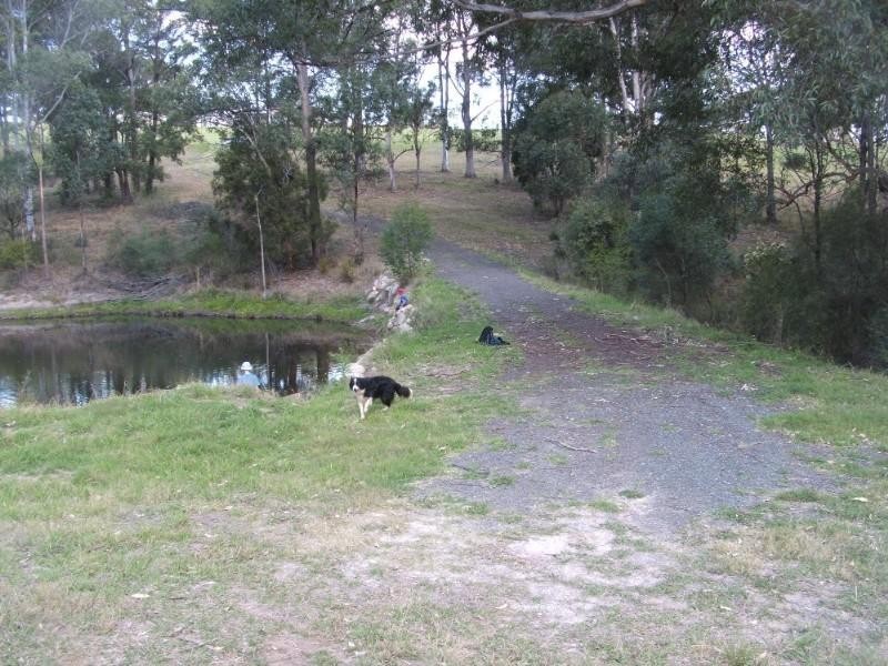 34 Cabbage Tree Road, Grose Vale NSW 2753