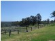 Kurrajong NSW 2758