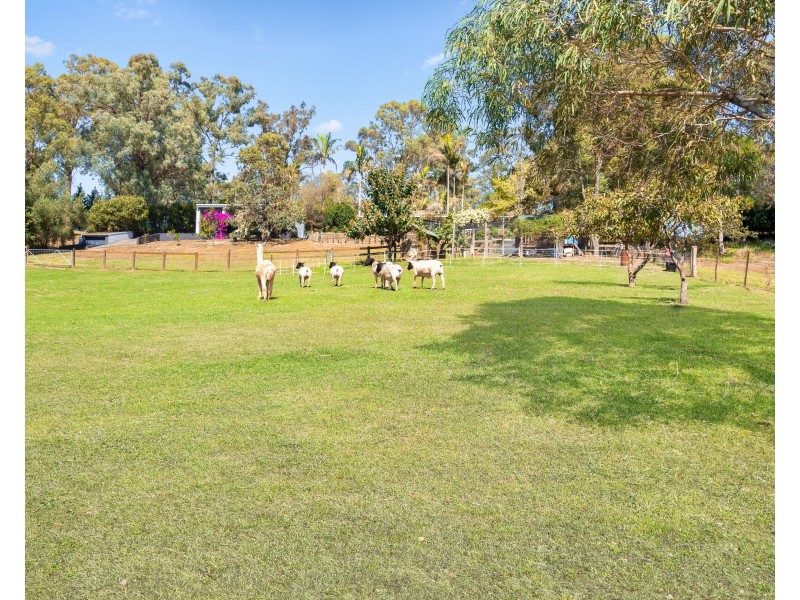 442 Grose Vale Road, Grose Vale NSW 2753