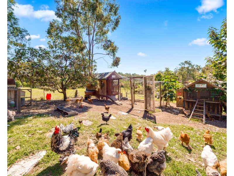 442 Grose Vale Road, Grose Vale NSW 2753