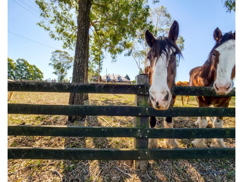 253 Blaxlands Ridge Road, Kurrajong NSW 2758