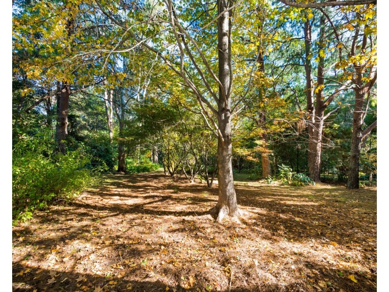 115 Warks Hill Road, Kurrajong Heights NSW 2758