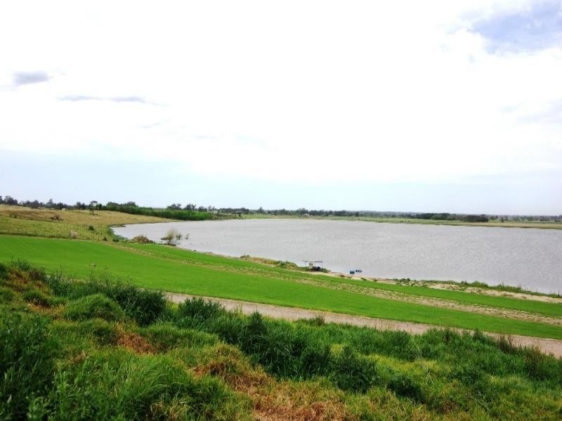 Freemans Reach NSW 2756