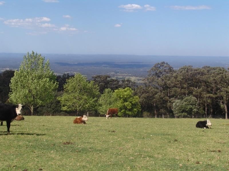 1350a Bells Line Of Road, Kurrajong Heights NSW 2758