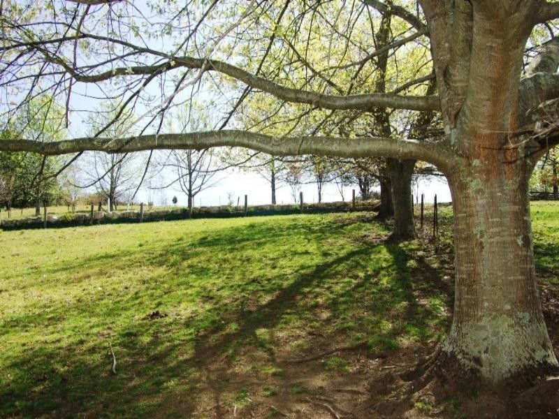 Lot 3/1350 Bells Line Of Road, Kurrajong Heights NSW 2758