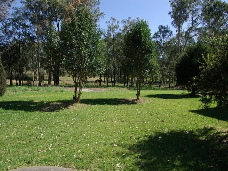 Glossodia NSW 2756