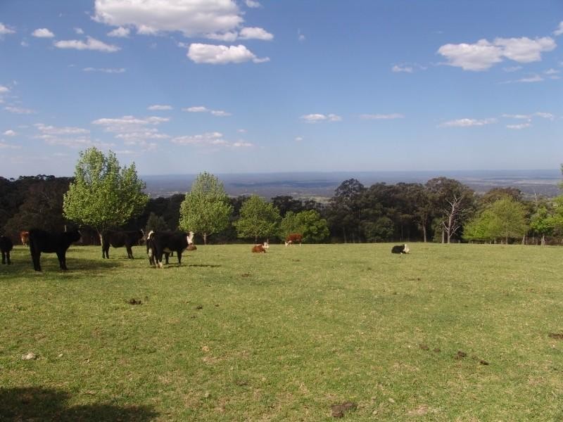 1350a Bells Line Of Road, Kurrajong NSW 2758