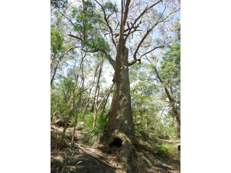 Kurrajong Heights NSW 2758