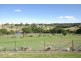 Kurrajong NSW 2758