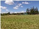 East Kurrajong NSW 2758