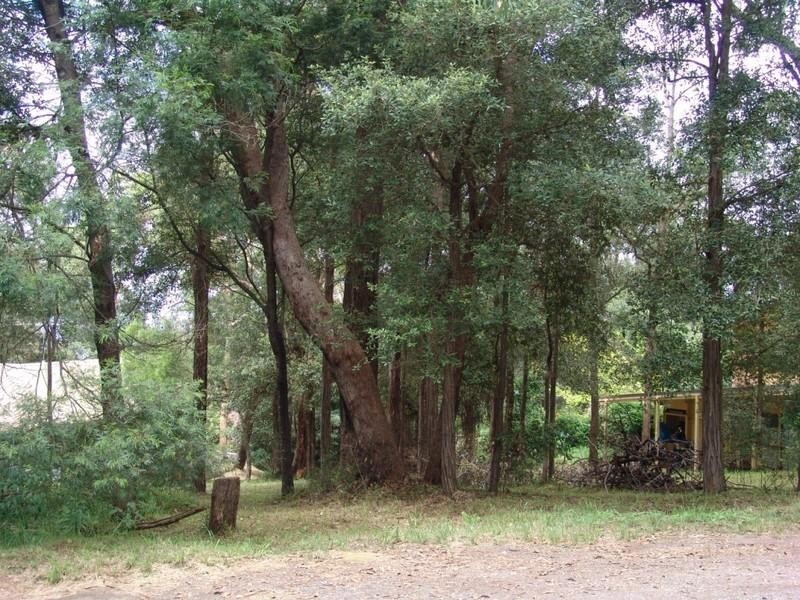 205 Lieutenant Bowen Drive, Bowen Mountain NSW 2753