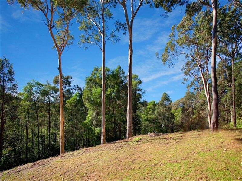 61 Serpentine Lane, Grose Vale NSW 2753