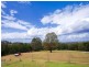 Kurrajong Hills NSW 2758