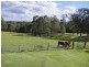 380 East Kurrajong Road, East Kurrajong NSW 2758